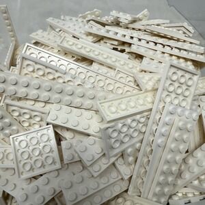 LEGO White Plates & More  Bulk Lot – 2 Lb 1.1oz  Bag Sorted by Color
